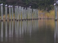 09-23-06-Nanjemoy-5015