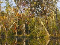 10-08-06-Piscataway-5778