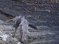 10-21-06-Rocky Gorge-6437