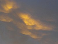 11-11-06-Piscataway-7269