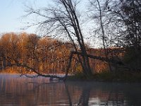 11-25-06-Rocky Gorge-7583