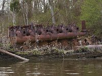 04-11-08-Mattawoman- MG 1004