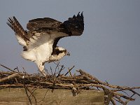 04-13-08-Rt 4- MG 1258