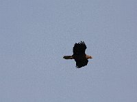 05-03-08-Mattawoman- MG 1403