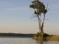 05-24-08-Mattaponi