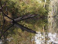 09-14-08-Piscataway MG 6512