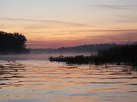 10-11-08-Mattawoman MG 6937