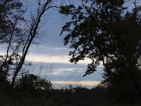 10-18-08-Rt 4 MG 8261