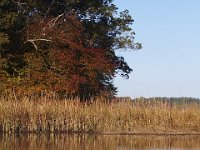 10-26-08-Mattawoman MG 8655