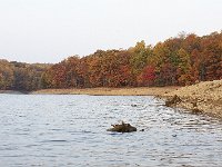 11-01-08-Rocky Gorge MG 8949