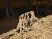 11-01-08-Rocky Gorge MG 9144