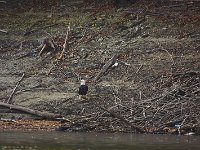 11-01-08-Rocky Gorge MG 9154 1