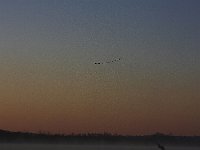 11-09-08-Rt 4 MG 9440