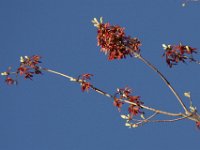 04-18-09-Rocky Gorge-IMG 1696