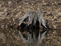 04-18-09-Rocky Gorge-IMG 1842