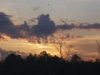 04-26-09-Rt 4 2201