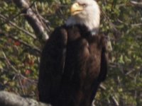 04-26-09-Rt 4 2625