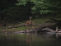 05-16-09-Rocky Gorge-IMG 2902