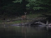 05-16-09-Rocky Gorge-IMG 2903