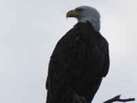 05-24-09-PiscatawayIMG 3028
