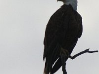 05-24-09-PiscatawayIMG 3029
