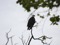 05-24-09-PiscatawayIMG 3042