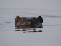 06-07-09-Mattawoman-IMG 3421