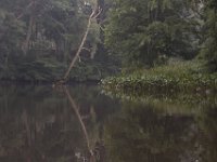 06-27-09-Tuckahoe