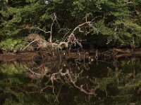 06-27-09-TuckahoeIMG 4024