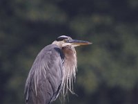 08-30-09-Rocky Gorge-IMG 5750