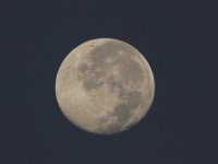 09-06-09-Rt 4-IMG 5825