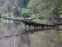 09-07-09-Piscataway