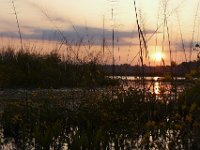 09-19-09-Mattawoman-IMG 6303
