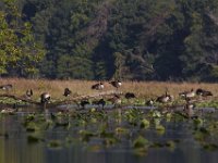 09-19-09-Mattawoman-IMG 6443
