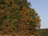 10-04-09-Rocky Gorge-IMG 6735
