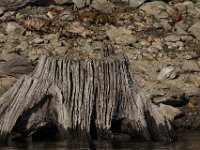 10-04-09-Rocky Gorge-IMG 6850