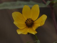 10-12-09-Selbys Landing-7292