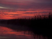 Mattawoman-11-21-09-8184