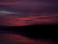 Mattawoman-11-21-09-8186