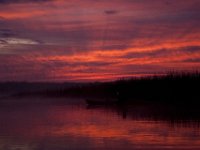 Mattawoman-11-21-09-8195