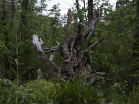 05-16-10-Piscataway-0591