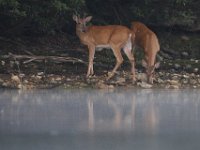 06-19-10-Rocky Gorge-1449