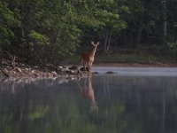 06-19-10-Rocky Gorge-1457