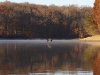 11-13-10-Rocky Gorge-7238