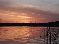 03-20-11-Mattawoman-8791