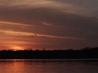 03-20-11-Mattawoman-8795