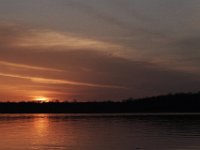 03-20-11-Mattawoman-8799