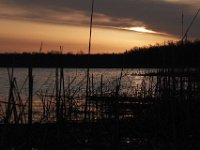 03-20-11-Mattawoman-8824