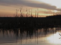 03-20-11-Mattawoman-8845