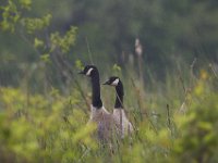 05-01-11-Piscatatway-9955